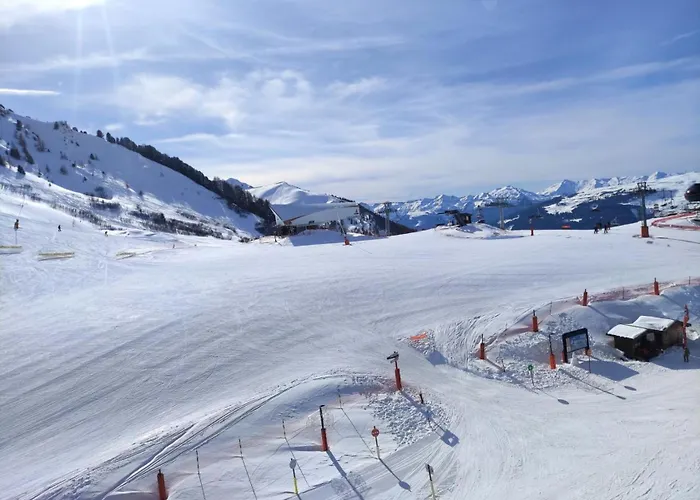 Lejlighed Chamois - Divisible De 26m² Au Pied Des Pistes Mae-2114 La Plagne